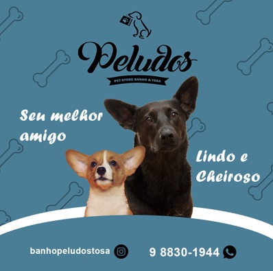 PELUDOS PET STORE BANHO E TOSA Itabirito MG