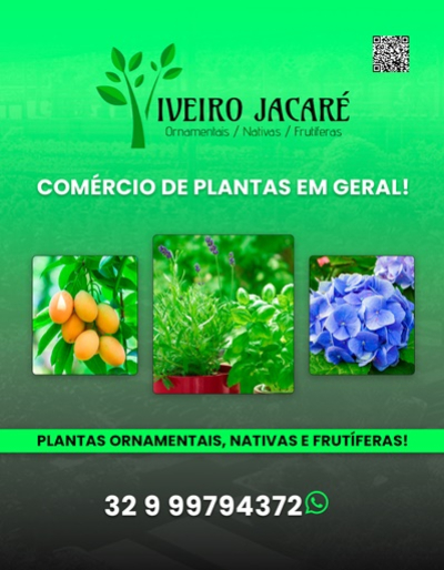VIVEIRO JACARÉ - PLANTAS  Itabirito MG
