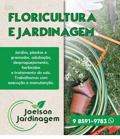 JOELSON JARDINAGEM  Itabirito MG