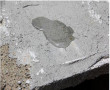 COLA PARA BLOCO E TIJOLOS: CERÂMICO OU CONCRETO.<br />
